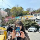 프롬초이 이미지