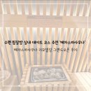 수 사우나 | [수원] 수찜질방 실내 데이트 코스 주말 방문 후기 '메가스파사우나'