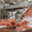 세포농장 이미지