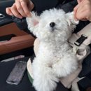 여리오자매 이미지