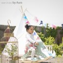 바이벨라 이미지