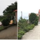 푸른민박 이미지