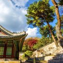 금촌전통시장 이미지