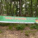 비호동산 유아숲체험원 이미지
