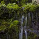 계곡&풍경 이미지