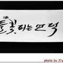 들꽃피는 이미지