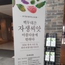 백두대간 자생씨앗 아름다움에 반하다 이미지