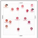 헤이앤피드㈜ | 내돈내산 투크 윗아웃 미러립틴트 색상 발색 비교 후기