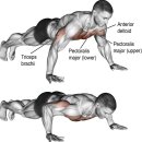 청년헬스 이미지