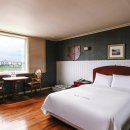 여주-0305 이미지