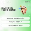 클럽비바 이미지