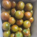 남구-021 이미지