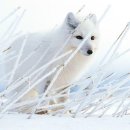 아이스월드 - 용인시 수지구 진산로 26 | 아이스월드