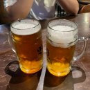 The Park(뷔페식당) | 호주 시드니 오페라하우스&amp;호텔 플러톤&amp;페더데일 동물원 &amp;블랙타운 인도 카레 맛집&amp;하이드파크(Hyde Park)