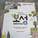 대한다원 | 보성 녹차밭 대한다원 후기 (주차, 카페, 보성 가볼만한 곳)