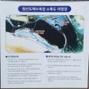 원산도비치캠핑장 | [원산도해수욕장 야영장] 바다 바로 앞 서해 오션뷰 캠핑장 추천