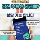 당진호반몽땅부동산중개사무소 이미지