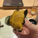창원 스시맛집 스시예담 주말 디너 오마카세 후기