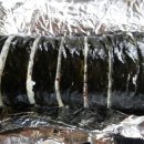 별난집김밥 이미지