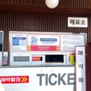 영종씨사이드캠핑장(카라반야영장) | 인천 갈만한 곳 영종씨사이드 레일바이크 주차 가격 캠핑장 마라톤 자전거 코스 :: 5월 놀거리 추천