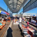 남도빈대떡 | 해남군 해남읍시장 5일장의 볼거리와 먹거리, 남도 사람 냄새 가득한 소도시 장터 여행