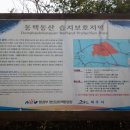 곶자왈거문오름 이미지