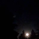 Bright as tonight’s moon 이미지