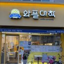 와플대학함안캠퍼스 네이버블로그
