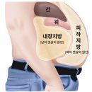 베러댄피트니스 | 다산동 헬린이 마른비만 탈출 경험담 후기와 팁!! / 베러댄 휘트니스