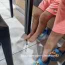 송지호 굿모닝하우스 이미지