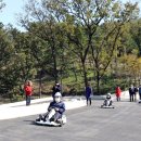 영광잔디 이미지