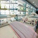 알레르망 영종도점 알러지케어 간절기 이불 구매 후기
