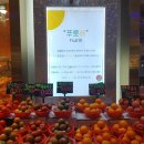 강남-079 이미지