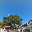 송여자경로당 이미지