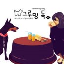 그루밍031 이미지