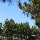 나들가게 홈마트 이미지