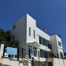 거제비타민씨 이미지