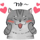 플라워돌스 이미지