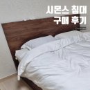 노체점 | 시몬스 침대 / 윌리엄 kk + 라이트노체 구입 및 사은품 솔직 후기