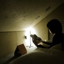 그로브동산 이미지