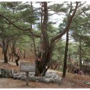 2014년4월20일 (209차) 충북괴산 등잔봉(447M),천장봉(440M), 삼성봉(556M), 괴산땜을 따라 산막이옛길의 멋진 풍경이 있는 산행입니다. 이미지