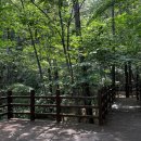 10월 30(목)일 경기도 광주시 곤지암 화담숲 단풍 축제 관광 및 유럽풍 정원 힐링의 마을 용인자연휴양림 관광예약 이미지