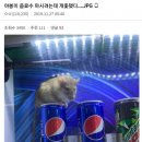 자판기 이미지