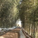 담양죽녹원게스트하우스