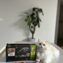 이메스 | “프리미엄 Cat 간식 쉬바 멜티”고양이의 행복한 간식 타임