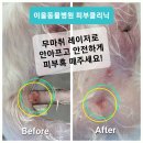 서래동물병원 네이버블로그