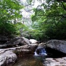 2019.6.23(일)제26차 정기걷기여행-문경새재의 아련한 옛숲길을 찾아서 이미지