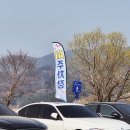 매화꽃환경 | 광양 매화축제 후기 🌸 3월16일 만개 상태 + 주차팁 + 셔틀버스 방문꿀팁정리