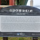 신라대종 이미지