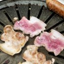 축진농장 이미지